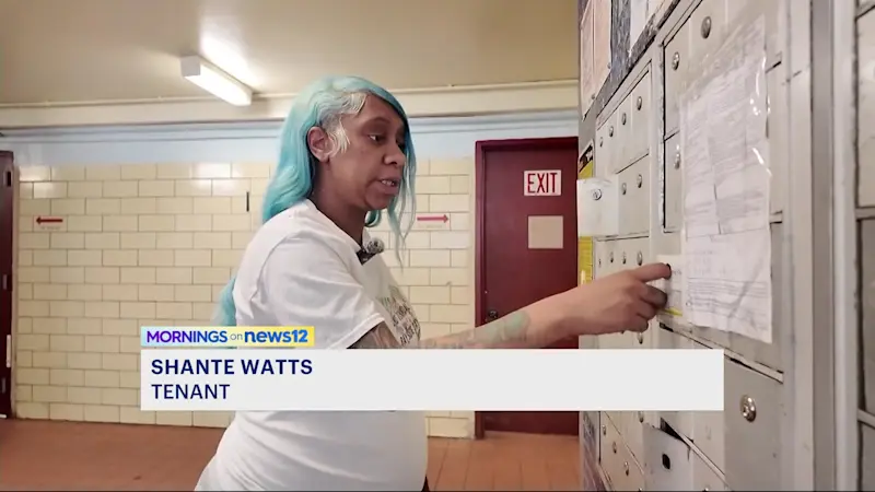 Story image: NYCHA apartment residents in East New York left without mailboxes for over a year