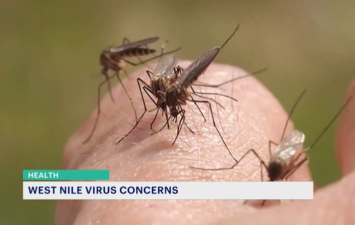 Story image: What you need to know about West Nile virus as cases spread in the tri-state