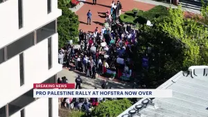 Students take part in pro-Palestinian protest at Hofstra University