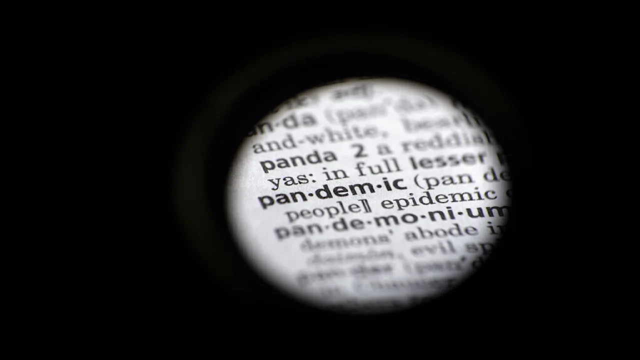Article 267300 Hero Image