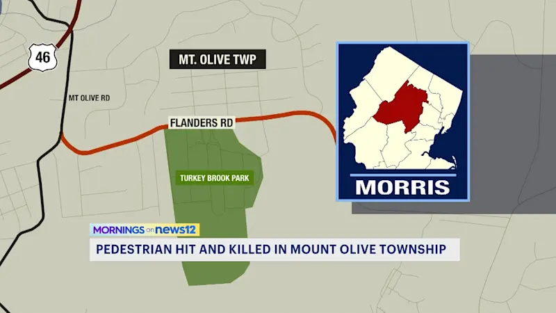 Story image: 66-year-old woman struck and killed by car in Morris County