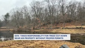 Gov. Lamont assumes responsibility for removal of trees in an environmentally protected area near his Greenwich home