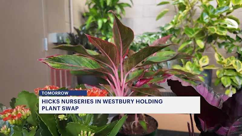 Story image: Hicks Nurseries is hosting a plant swap this weekend