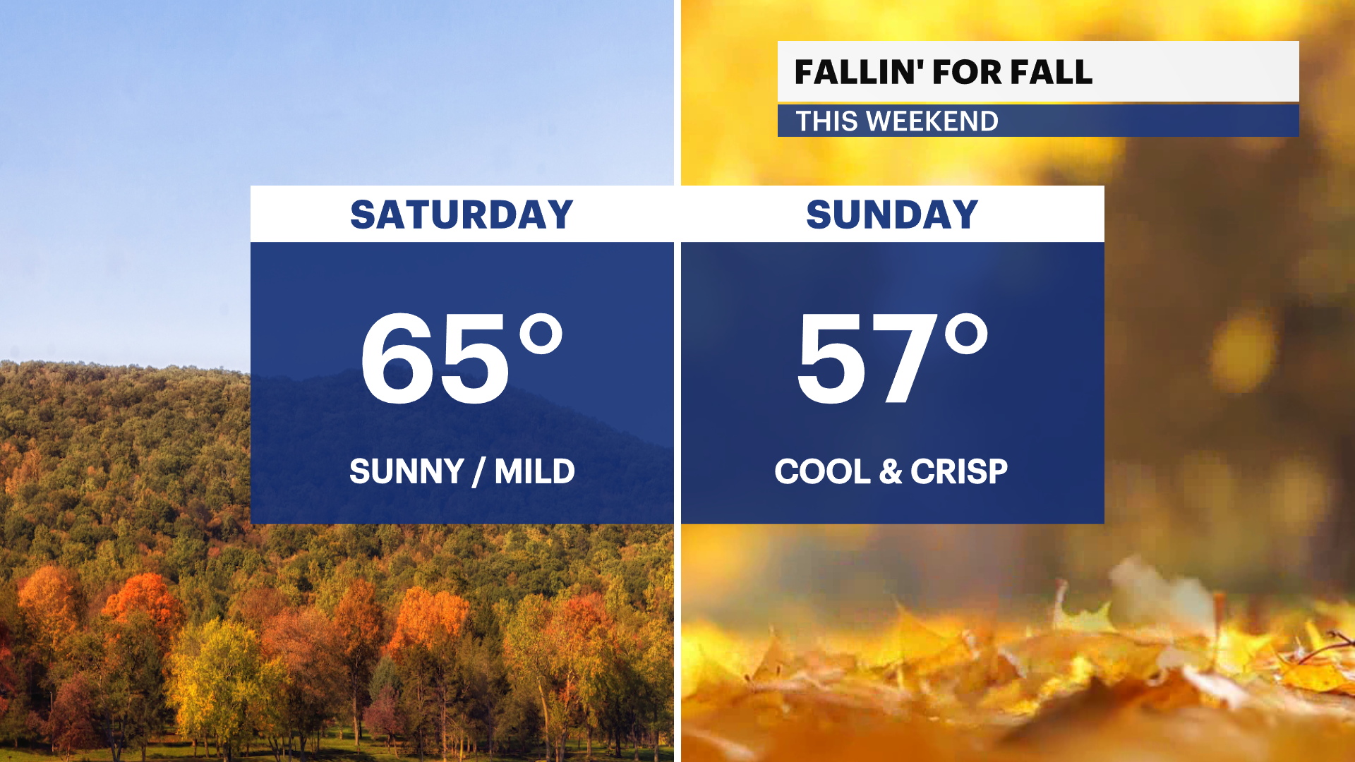 Breezy conditions and sunny skies in the Bronx