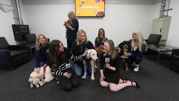 Paws & Pals: 5 dogs up for adoption at Paws of War