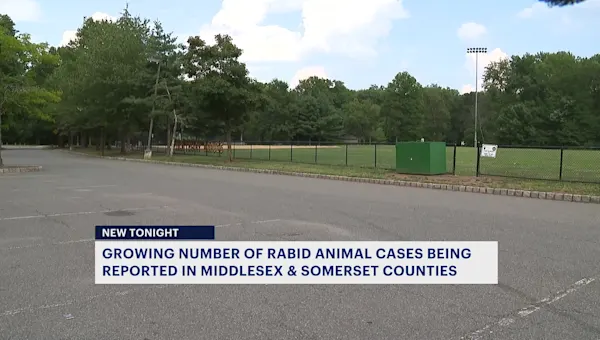 Health officials issue warning about possible rabid animals Somerset & Middlesex counties