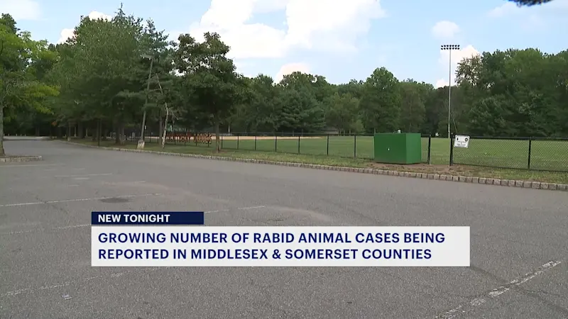 Story image: Health officials issue warning about possible rabid animals Somerset & Middlesex counties