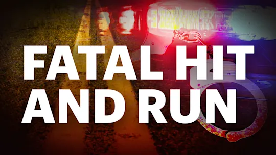 FATAL HIT AND RUN GENERIC