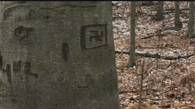 Article 113271 Thumbnail