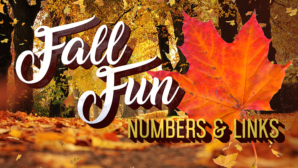 Article 147215 Thumbnail