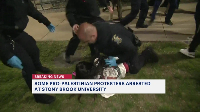 Story image: Pro-Palestinian protesters arrested at Stony Brook University 
