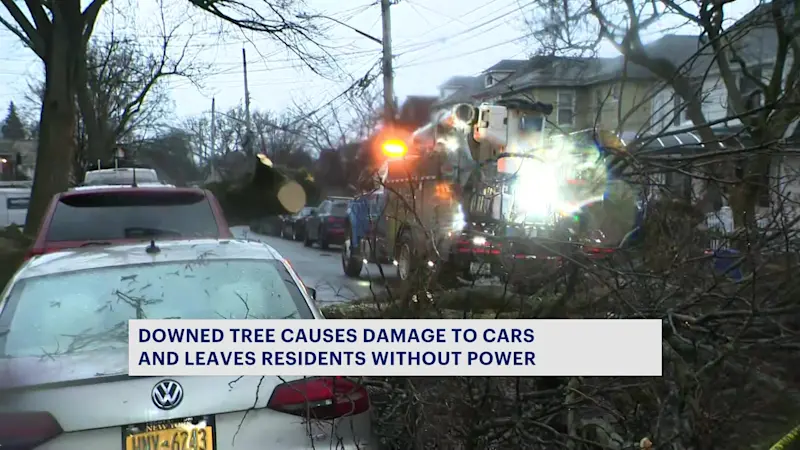 Story image: Tree falls on multiple cars in Morris Park, leaving some residents without power