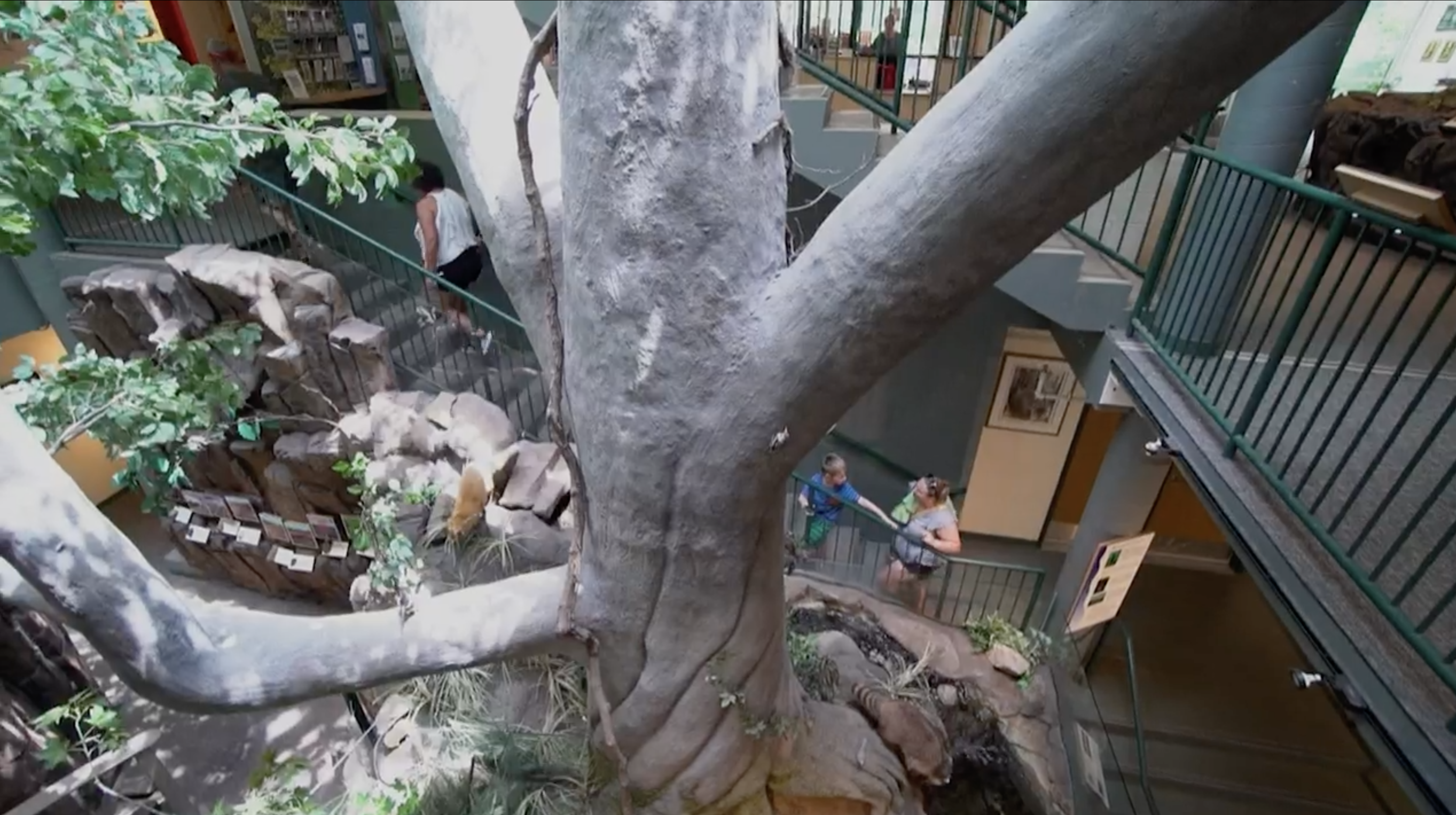 Article 300817 Hero Image