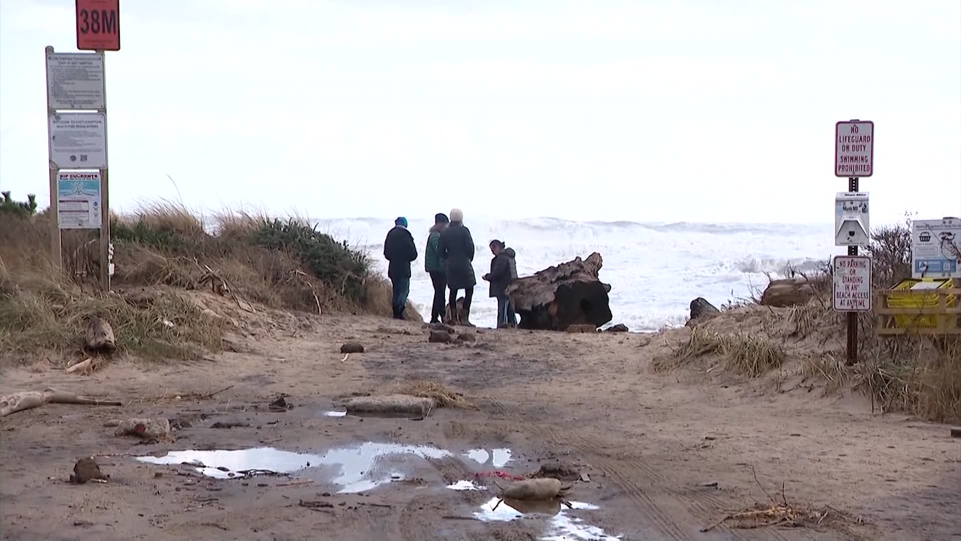 East Hampton reacts to erosion with renewed focus on coastal