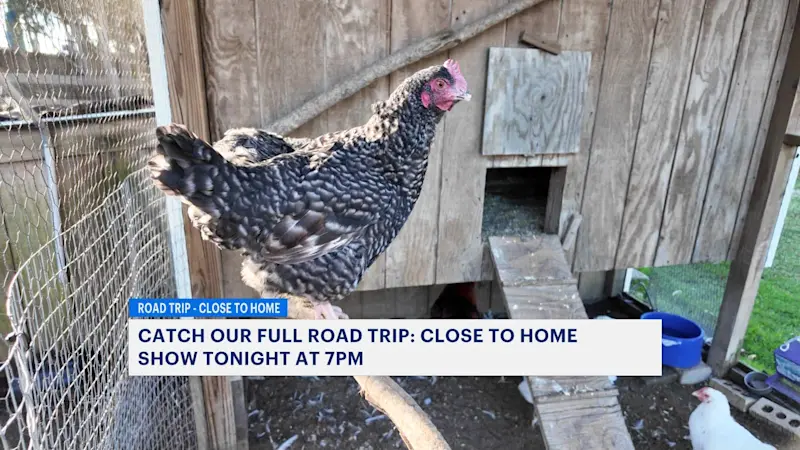 Story image: Take a wagon ride to see inner workings of a 150-year-old Suffolk farm
