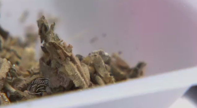 Article 115515 Thumbnail