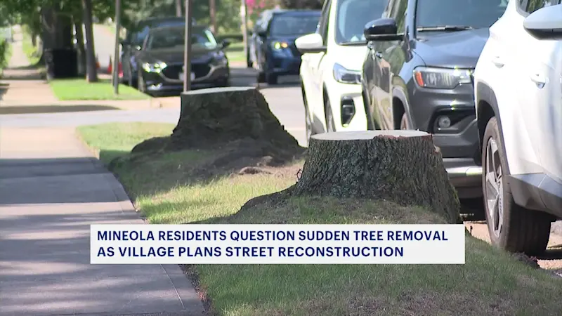 Story image: Tree removal in Mineola sparks concern among residents