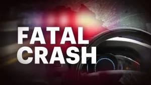 Man dies in rollover crash in Hartford