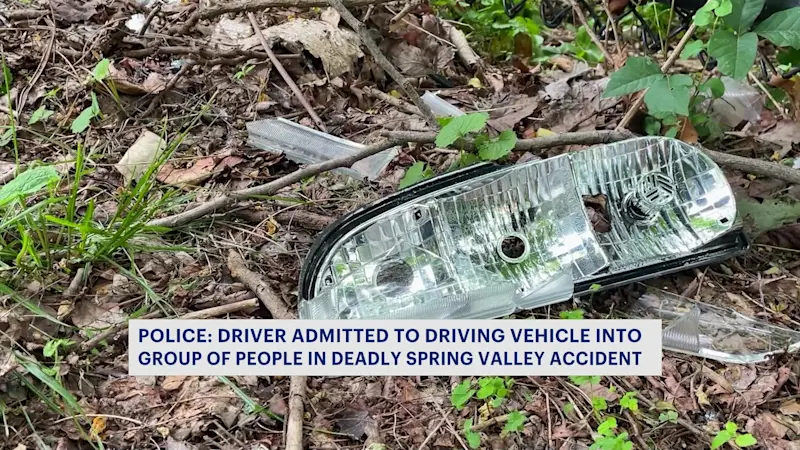 Story image: 'I was drinking': Driver accused of hitting, killing four-year-old with car in Spring Valley faces several charges