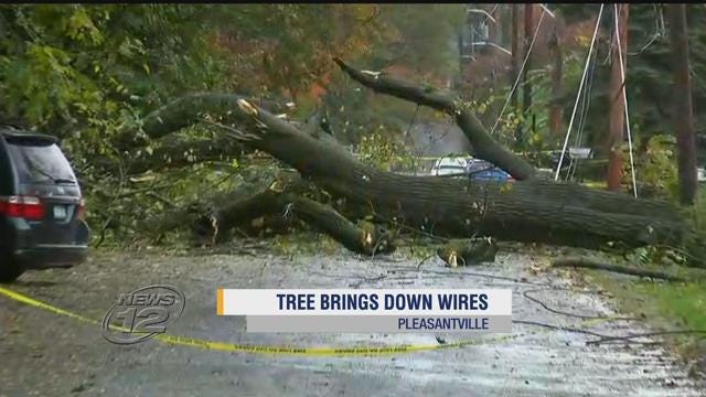 Article 138398 Thumbnail