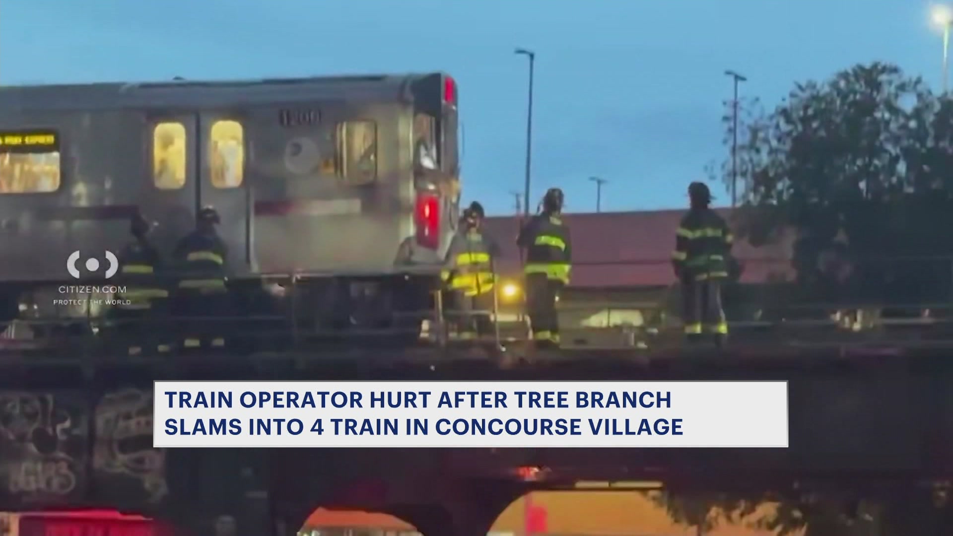 TREEIMPALES4TRAIN6PMAB_2026-07-05-18-43-47