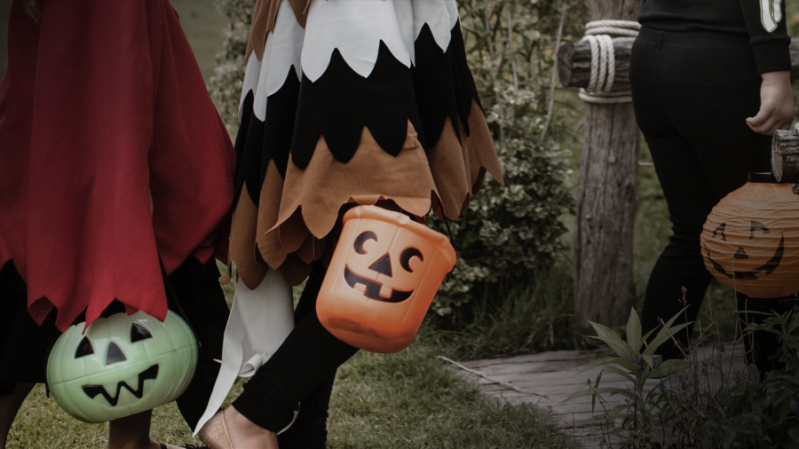 Article 30365 Thumbnail