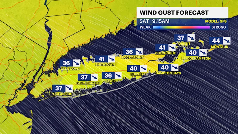 WINDGUSTSSAT915AM.png