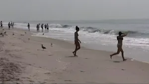 Tips on how to avoid confrontation with sharks while swimming in the ocean