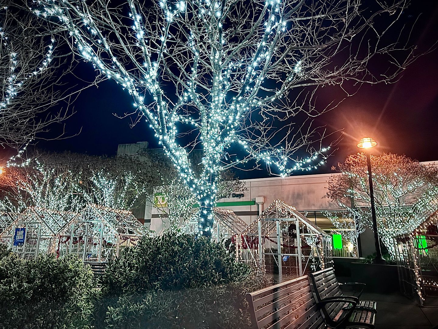 Exploring the Winter Wonderland Holiday Marketplace in BedStuy