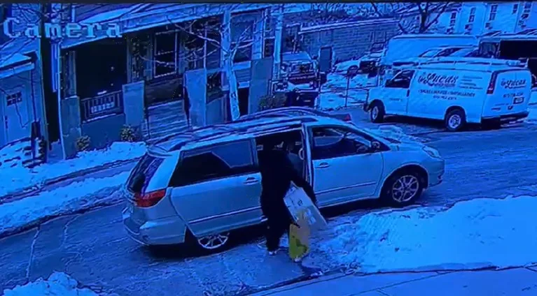PkgThief3.jpg