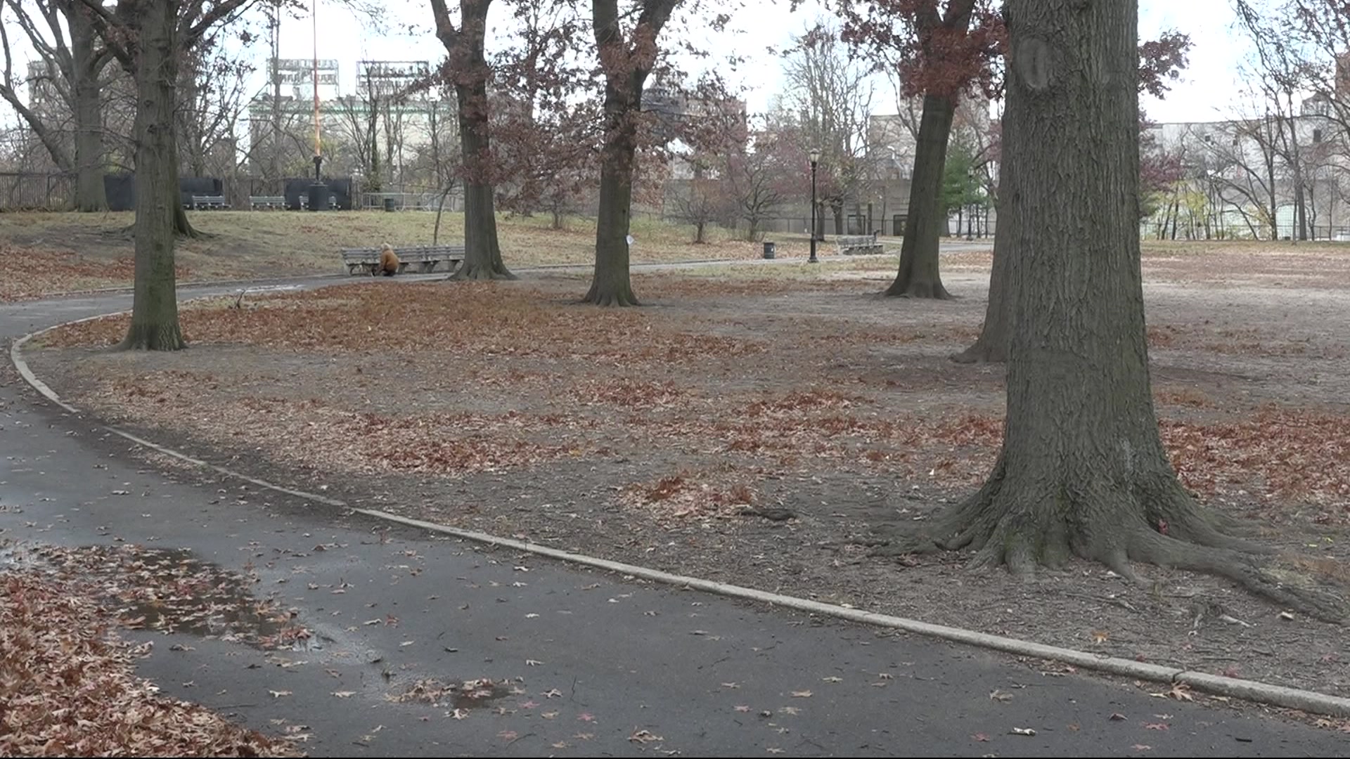 Debate over proposed skate park at Mount Prospect Park continues