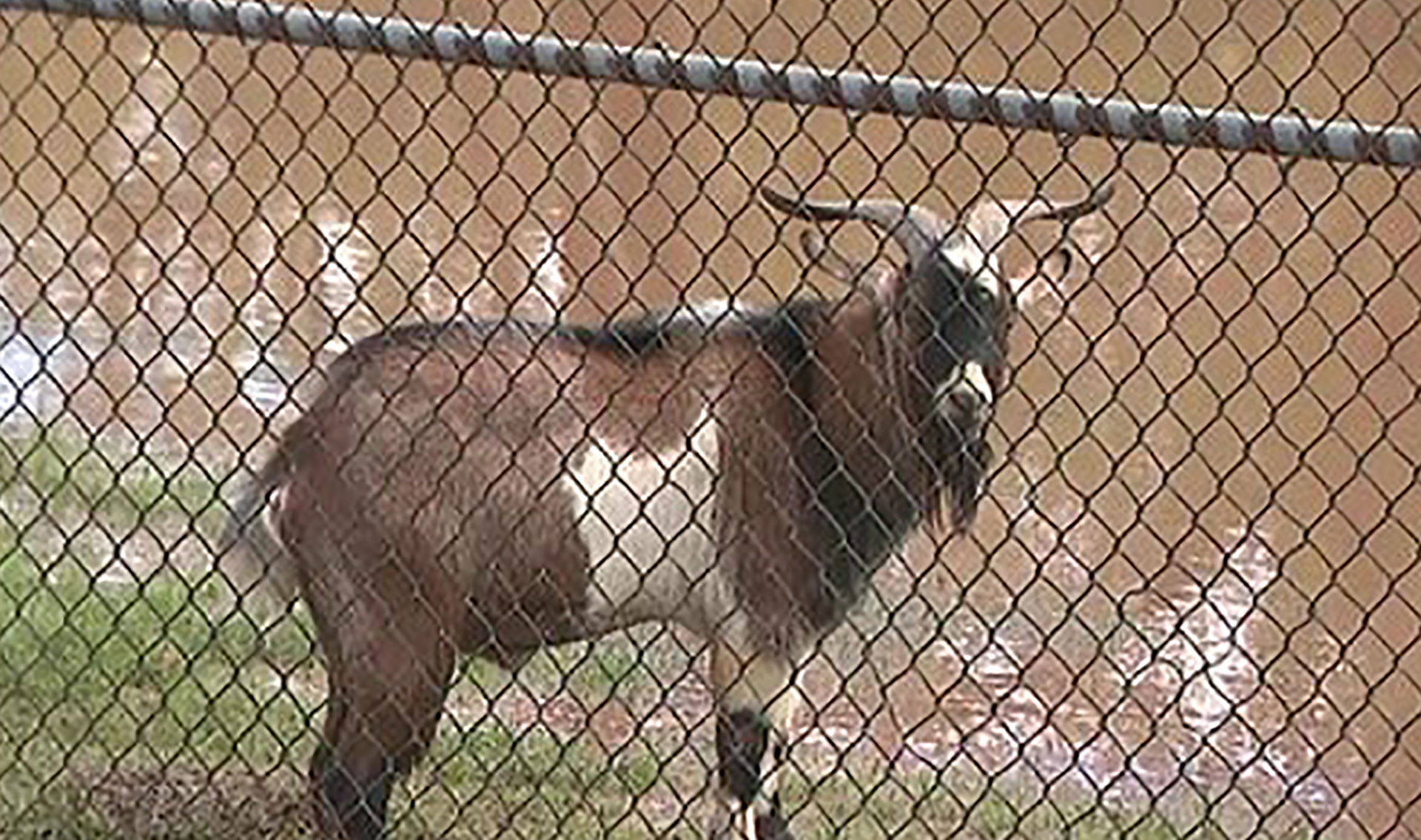 Article 271325 Hero Image