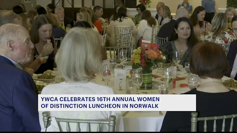 Story image: YWCA Celebrates 16th Annual Women of Distinction Luncheon 