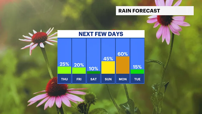 FB_Rain_Day.png