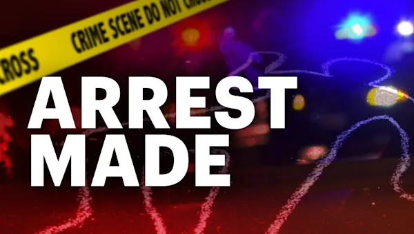 Arrest made in 2 train lewd act and attempted theft