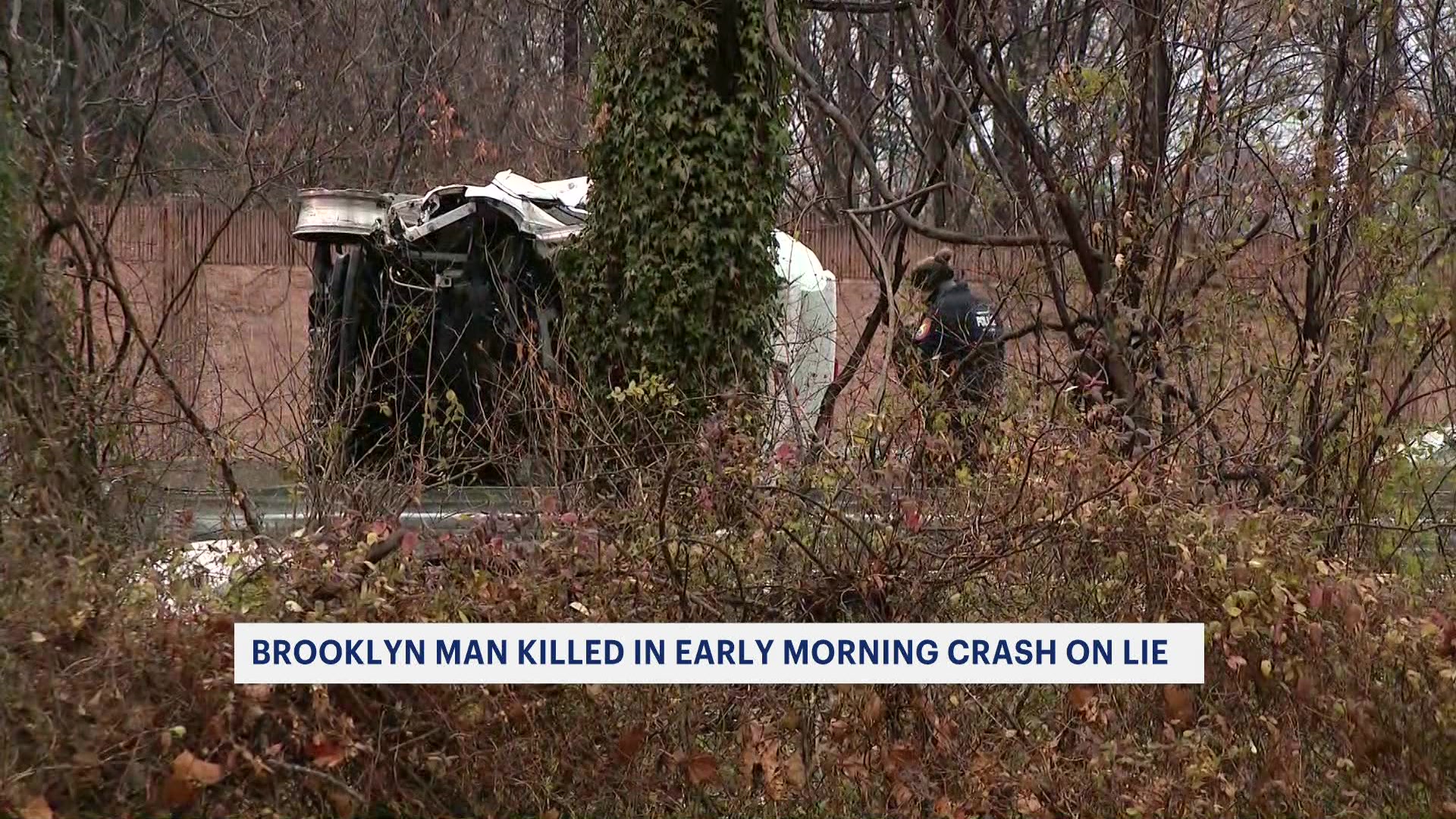 Source image for "Police: Person killed in crash on LIE in Jericho"