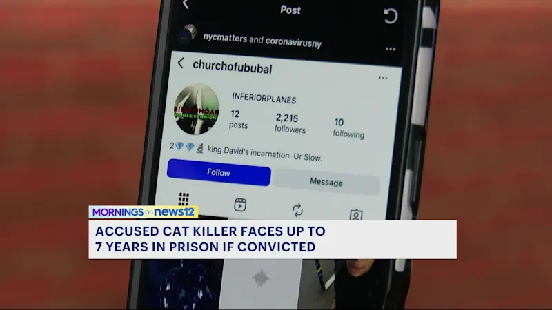 Story image: Bronx man accused of brutally killing cat faces up to 7 years in prison