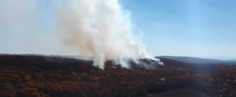 Story image: Firefighters battle 16-acre wildfire in Plattekill