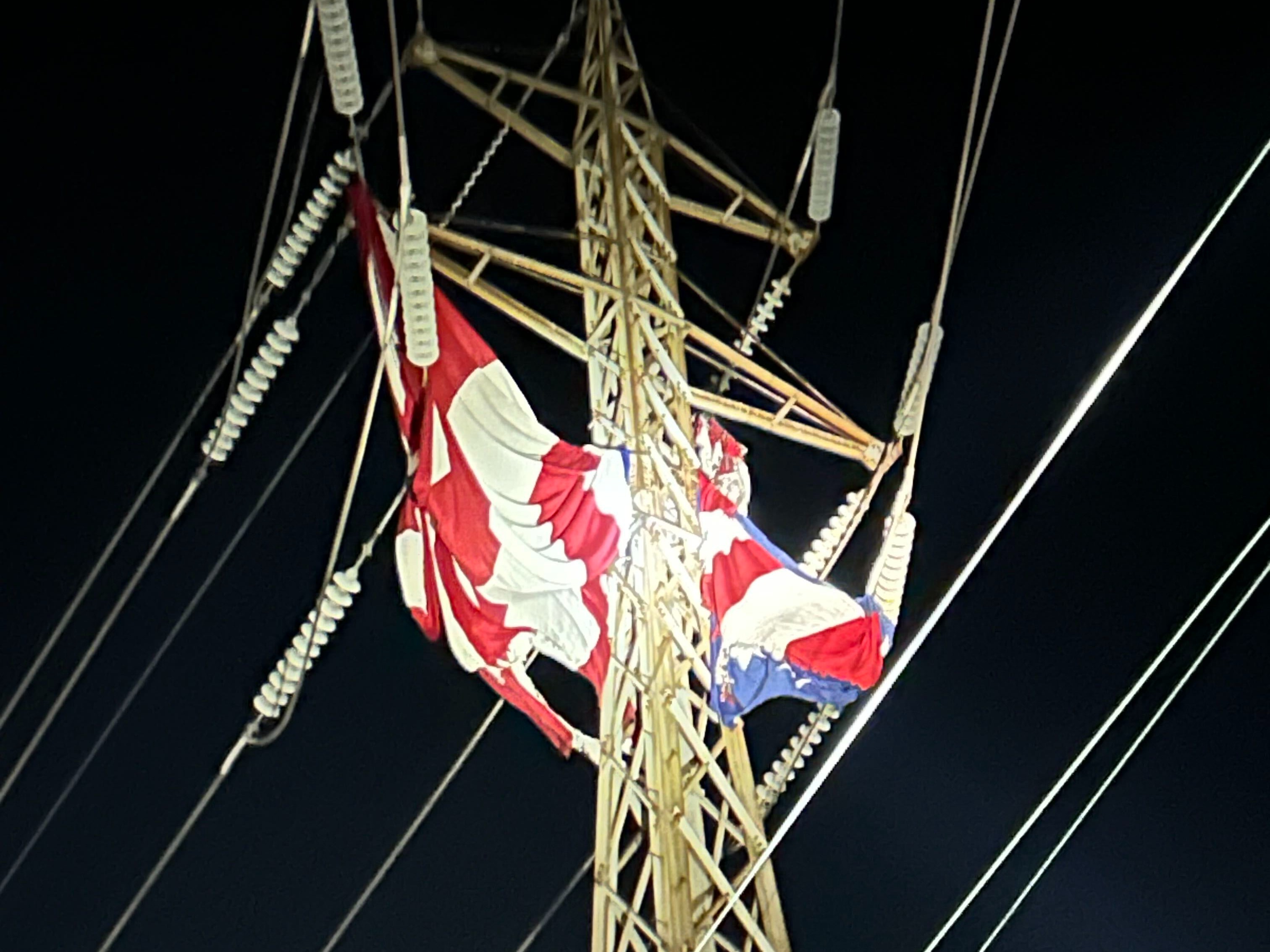 Flag in Transmission Line