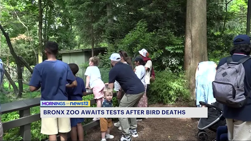 Story image: Bird flu suspected at Bronx Zoo