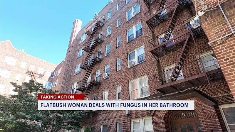 Story image: 78-year-old woman battles years of mold and leaks in her apartment