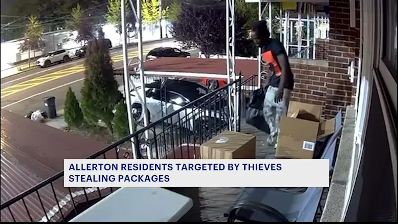 Story image: 'I feel violated,' Allerton residents targeted by package thief 