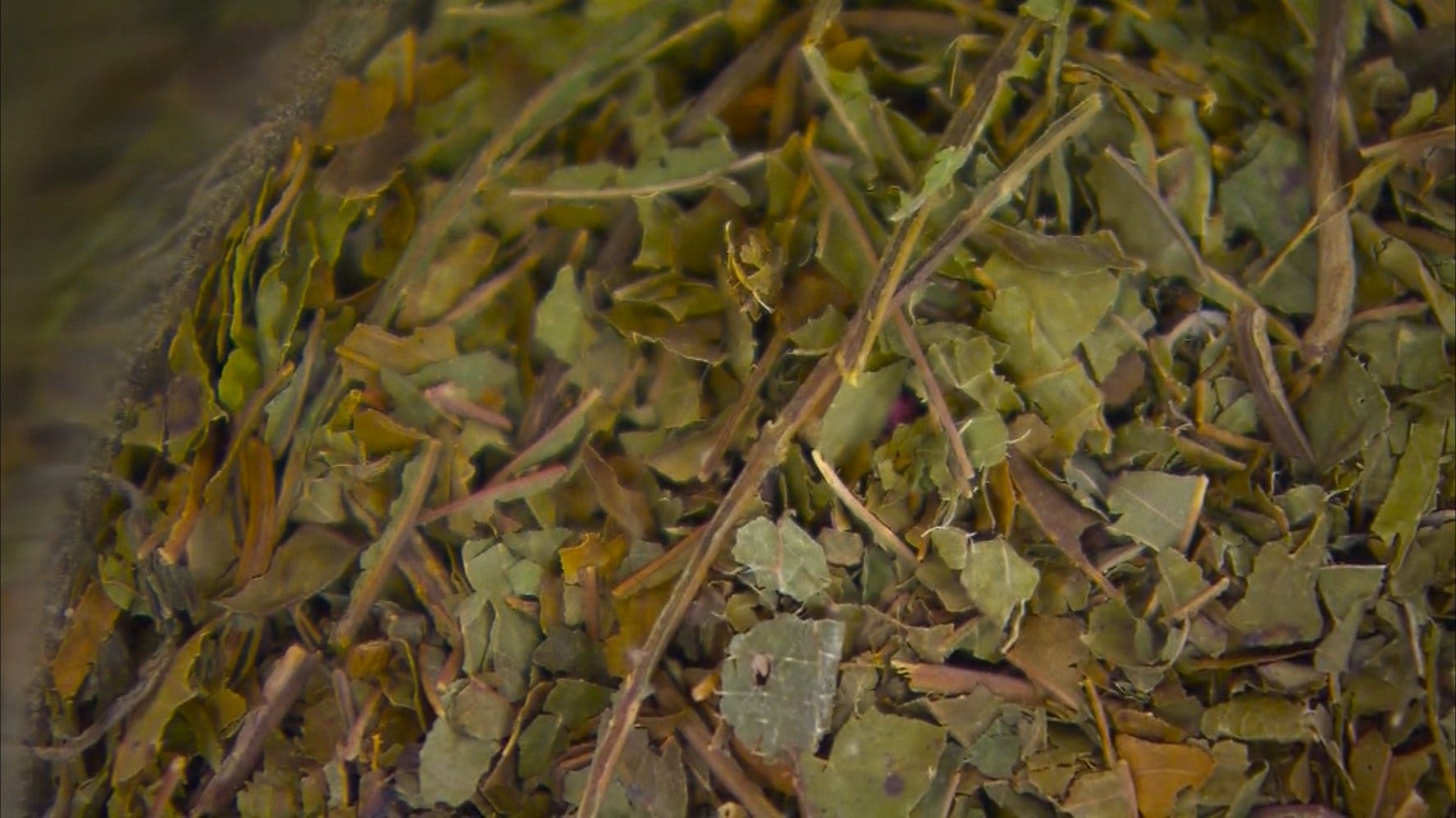 Article 116495 Thumbnail