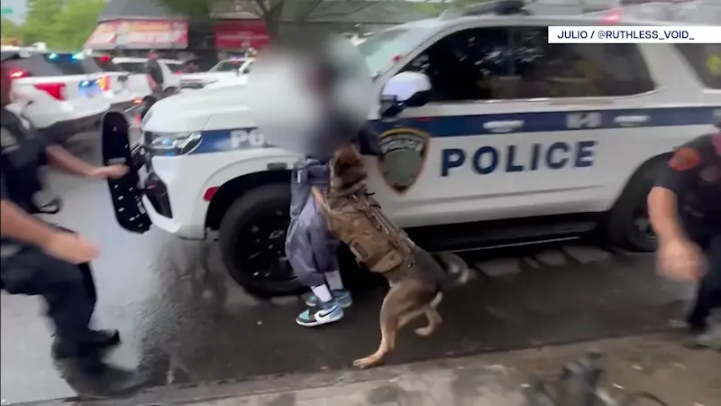 Story image: Suffolk police K-9 captured on video biting man during funeral of slain NYPD Detective Didarul Islam in the Bronx