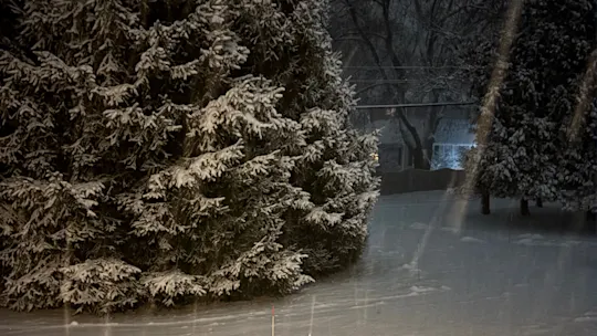 snowwestchester
