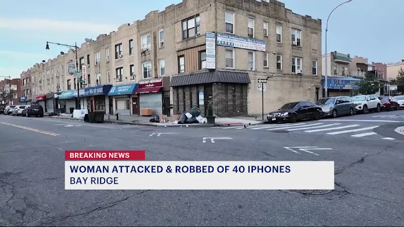 Story image: Woman attacked, $40K in iPhones stolen in Bay Ridge; 4 men wanted