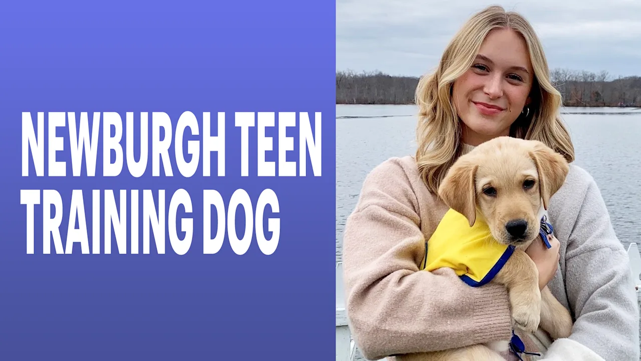 newburgh teen