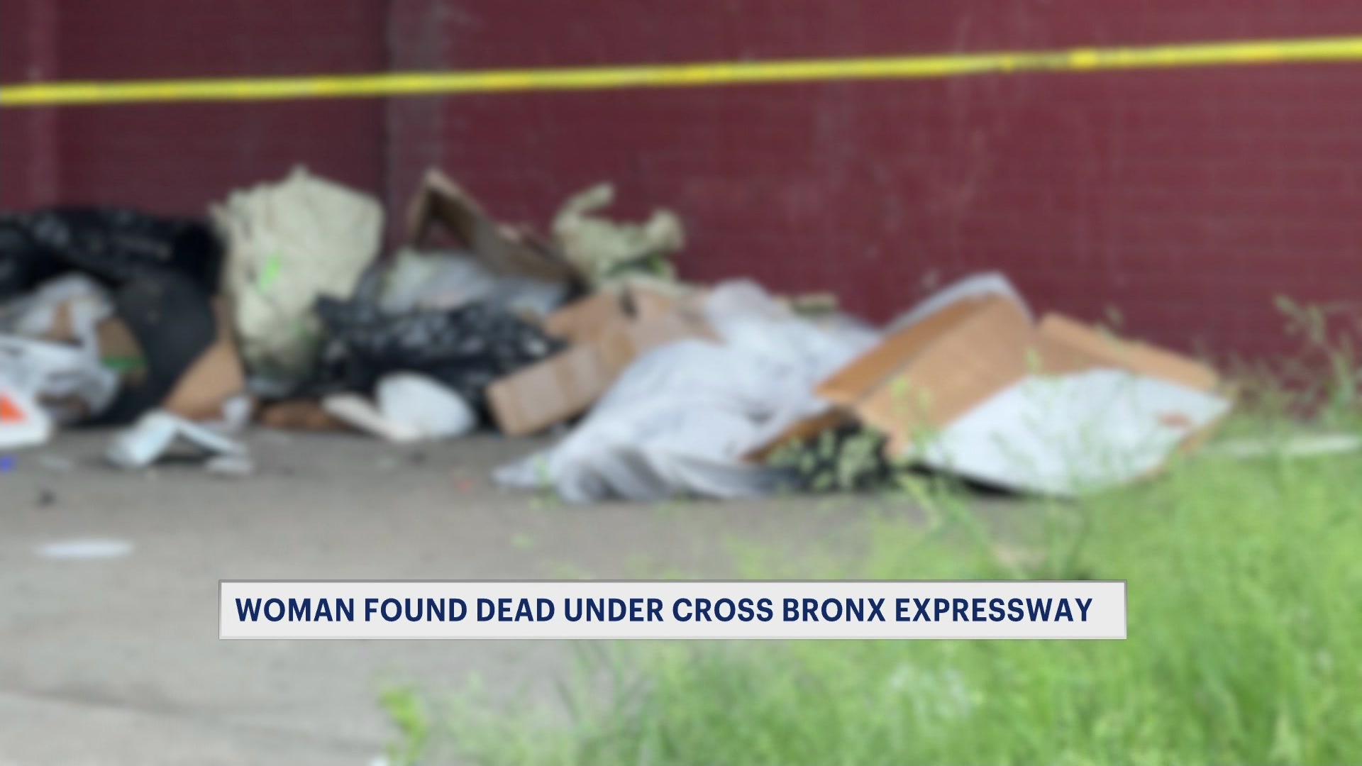 womanfounddead10pZC_2026-05-20-22-14-39