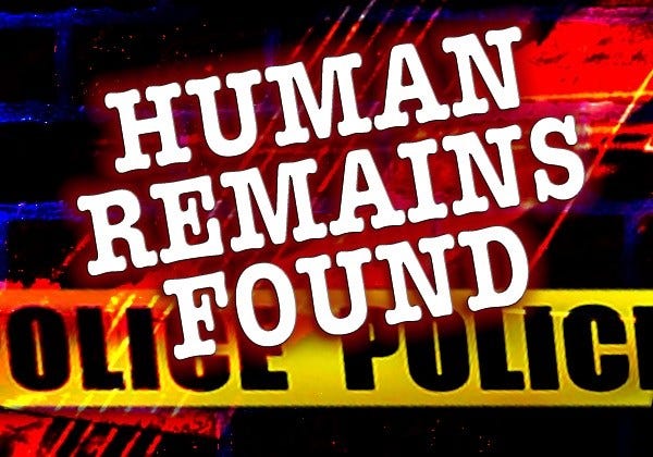 Article 143741 Thumbnail