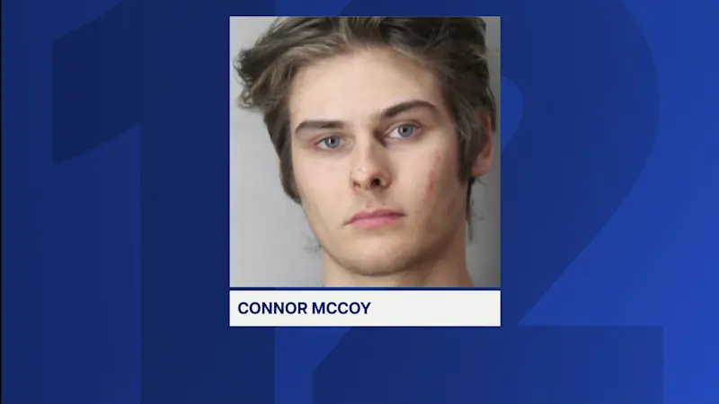 Story image: Levittown teen arrested for pulling fire alarm at Nassau Supreme Court, biting police officer 